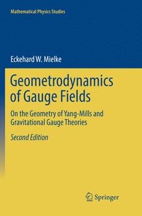 bokomslag Geometrodynamics of Gauge Fields