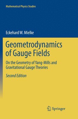 Geometrodynamics of Gauge Fields 1