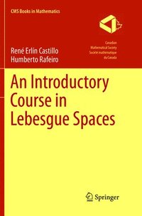 bokomslag An Introductory Course in Lebesgue Spaces
