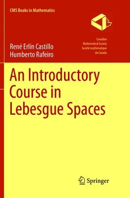 Rene Erlin Castillo, Humberto Rafeiro - Introductory Course in Lebesgue Spaces, Häftad