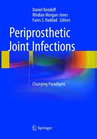 bokomslag Periprosthetic Joint Infections