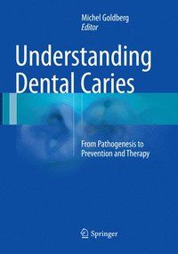 bokomslag Understanding Dental Caries