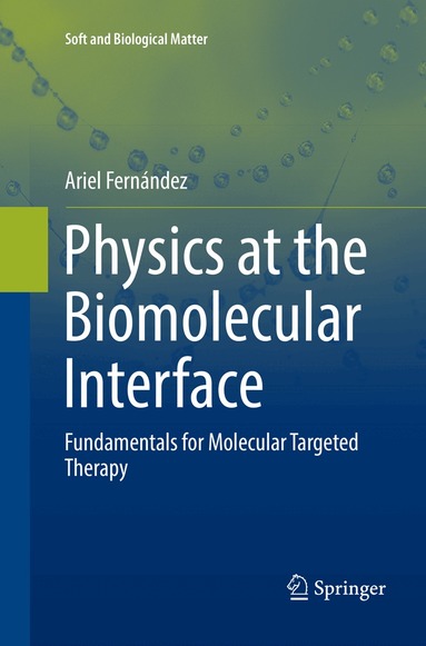 Ariel Fernández - Physics at the Biomolecular Interface, Häftad