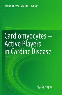 bokomslag Cardiomyocytes  Active Players in Cardiac Disease