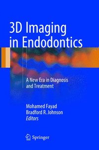 bokomslag 3D Imaging in Endodontics