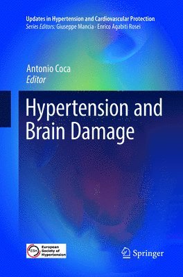 bokomslag Hypertension and Brain Damage