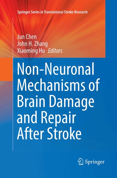 Jun Chen, John H. Zhang, Xiaoming Hu - Non-Neuronal Mechanisms of Brain Damage and Repair After Stroke, Häftad