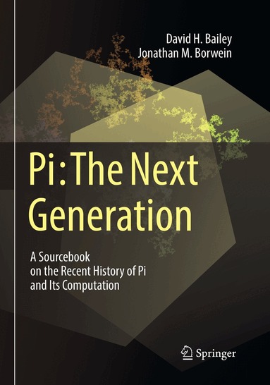 David H. Bailey, Jonathan M. Borwein - Pi: The Next Generation, Häftad