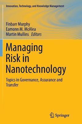 bokomslag Managing Risk in Nanotechnology