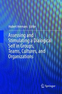 bokomslag Assessing and Stimulating a Dialogical Self in Groups, Teams, Cultures, and Organizations