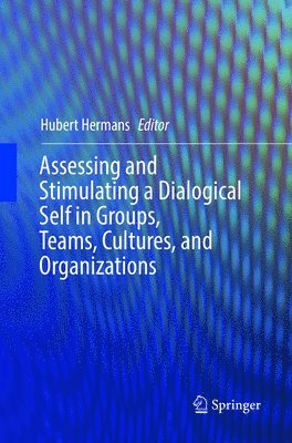 Hubert Hermans - Assessing and Stimulating a Dialogical Self in Groups, Teams, Cultures, and Organizations, Häftad