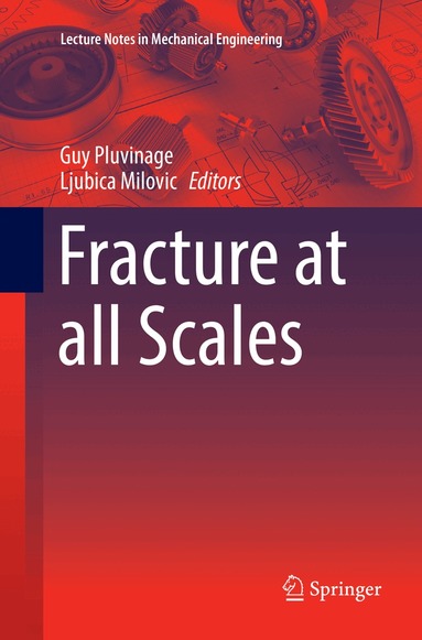 Guy Pluvinage, Ljubica Milovic - Fracture at all Scales, Häftad