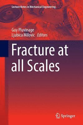 Guy Pluvinage, Ljubica Milovic - Fracture at all Scales, Häftad