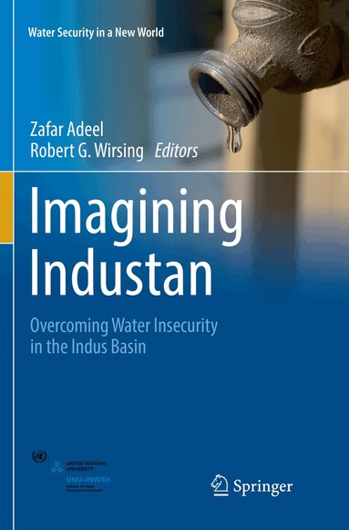 Zafar Adeel, Robert G. Wirsing - Imagining Industan, Häftad
