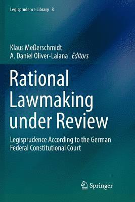 Klaus Meßerschmidt, A. Daniel Oliver-Lalana - Rational Lawmaking under Review, Häftad