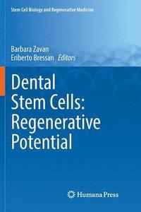 bokomslag Dental Stem Cells: Regenerative Potential