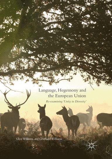 bokomslag Language, Hegemony and the European Union