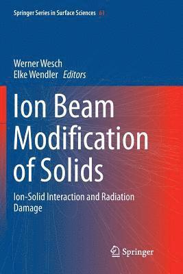 Werner Wesch, Elke Wendler - Ion Beam Modification of Solids, Häftad