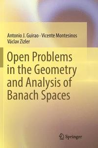 bokomslag Open Problems in the Geometry and Analysis of Banach Spaces