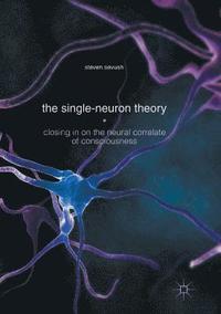 bokomslag Single-Neuron Theory