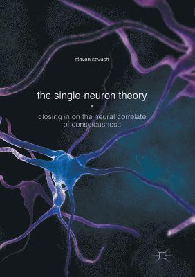 bokomslag Single-Neuron Theory