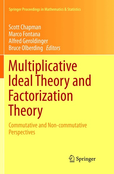 Scott Chapman, Marco Fontana, Alfred Geroldinger, Bruce Olberding - Multiplicative Ideal Theory and Factorization Theory, Häftad