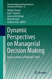 bokomslag Dynamic Perspectives on Managerial Decision Making