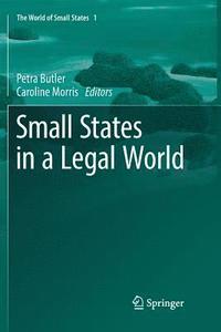 bokomslag Small States in a Legal World
