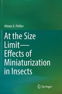 bokomslag At the Size Limit - Effects of Miniaturization in Insects