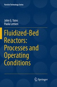 bokomslag Fluidized-Bed Reactors: Processes and Operating Conditions