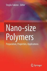 bokomslag Nano-size Polymers