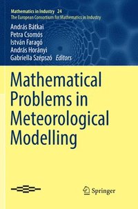 bokomslag Mathematical Problems in Meteorological Modelling