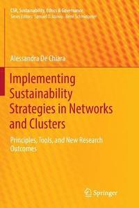 bokomslag Implementing Sustainability Strategies in Networks and Clusters