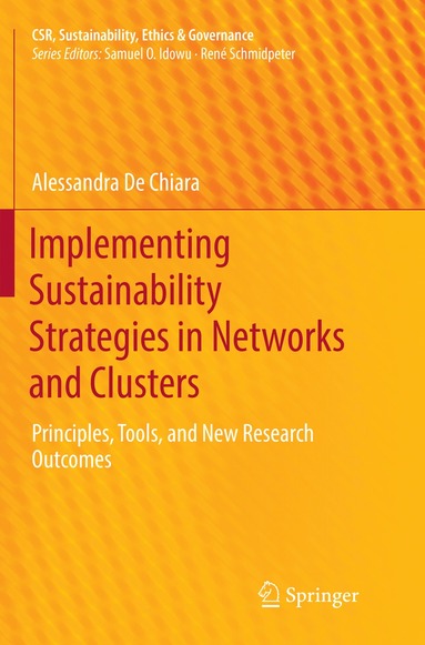 bokomslag Implementing Sustainability Strategies in Networks and Clusters