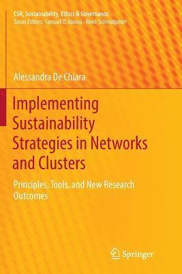 Implementing Sustainability Strategies in Networks and Clusters 1
