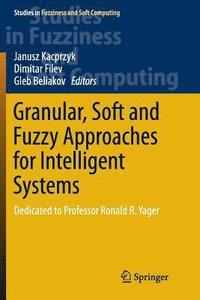 bokomslag Granular, Soft and Fuzzy Approaches for Intelligent Systems