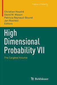 bokomslag High Dimensional Probability VII