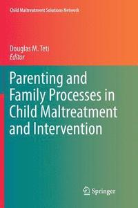 bokomslag Parenting and Family Processes in Child Maltreatment and Intervention