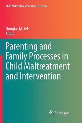 Douglas M. Teti - Parenting and Family Processes in Child Maltreatment and Intervention, Häftad
