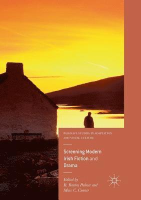R. Barton Palmer, Marc C. Conner - Screening Modern Irish Fiction and Drama, Häftad