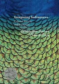 bokomslag Imagining Indianness
