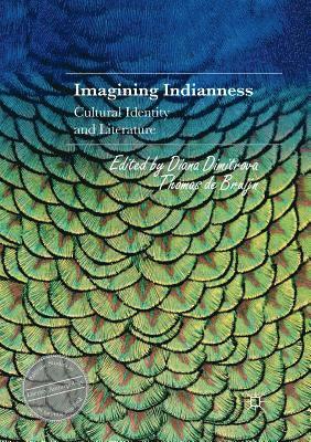 bokomslag Imagining Indianness