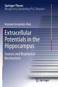 bokomslag Extracellular Potentials in the Hippocampus