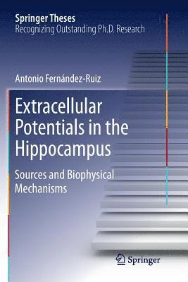 Extracellular Potentials in the Hippocampus 1