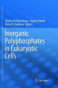 bokomslag Inorganic Polyphosphates in Eukaryotic Cells