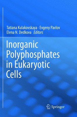 Tatiana Kulakovskaya, Evgeny Pavlov, Elena N. Dedkova - Inorganic Polyphosphates in Eukaryotic Cells, Häftad
