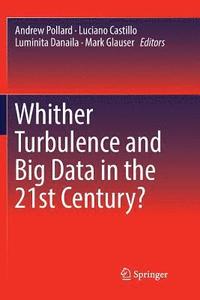 bokomslag Whither Turbulence and Big Data in the 21st Century?