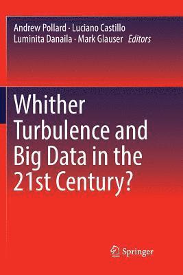 Andrew Pollard, Luciano Castillo, Luminita Danaila, Mark Glauser - Whither Turbulence and Big Data in the 21st Century?, Häftad