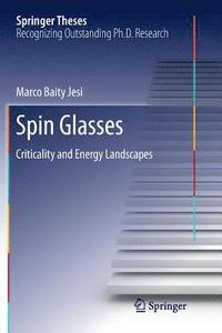 bokomslag Spin Glasses
