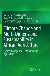bokomslag Climate Change and Multi-Dimensional Sustainability in African Agriculture